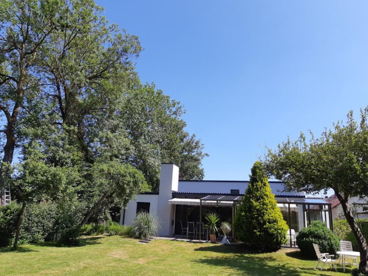 Ferienhaus Brenzblick Gundelfingen an der Donau 外观 照片
